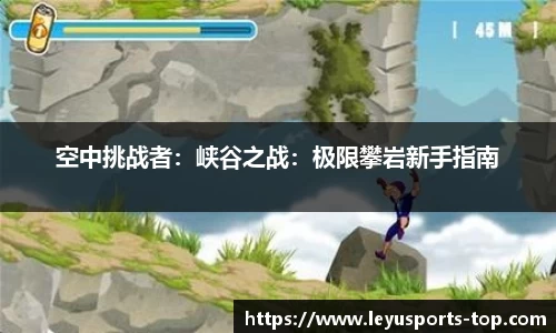 乐鱼体育公司